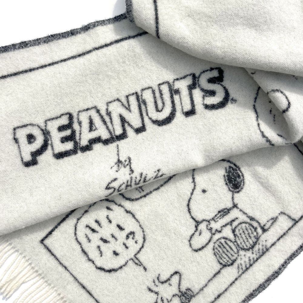 Peanuts Blanket – Doughnut Comic - FAO Schwarz