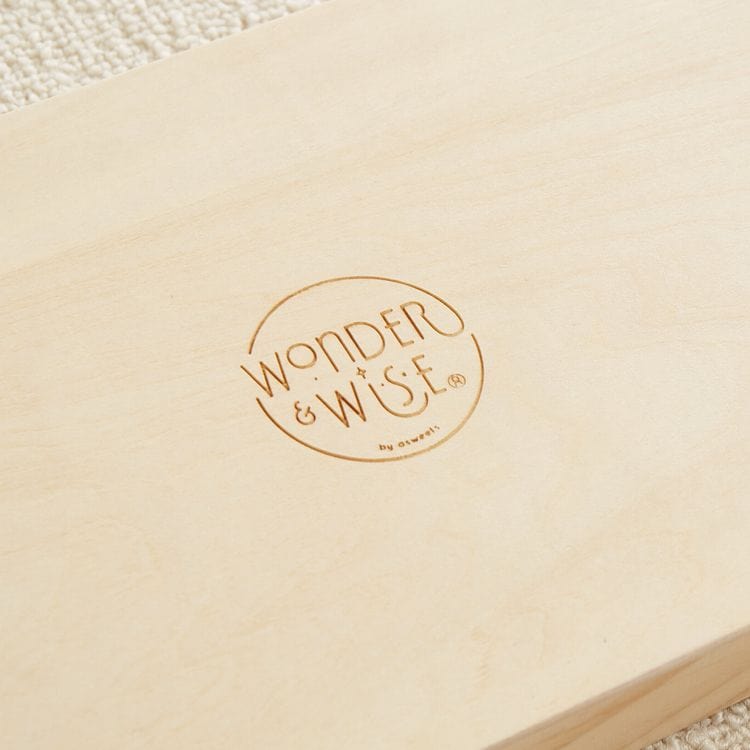Simply Spheres Wooden Toy - FAO Schwarz